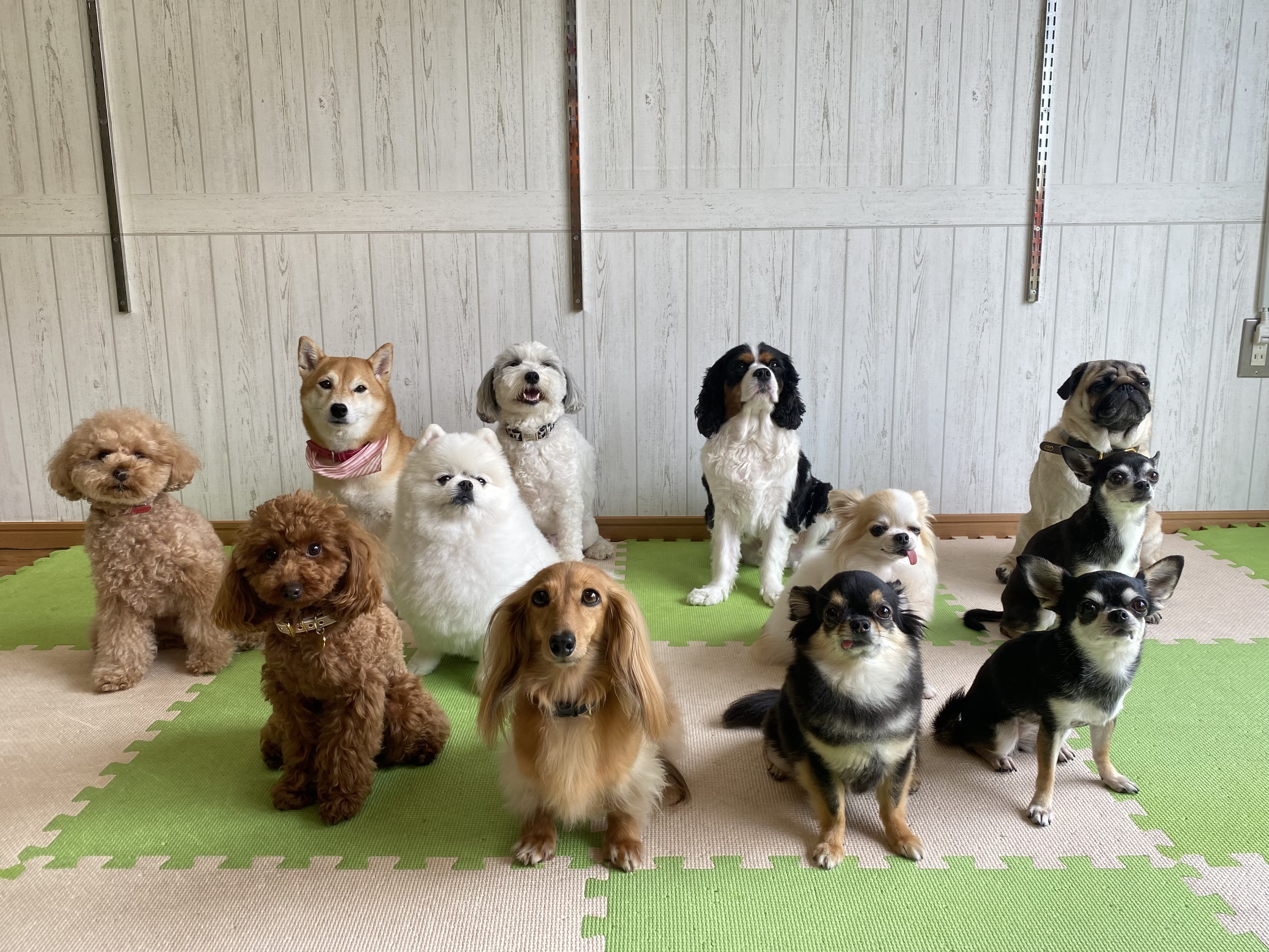 4727b-e58699e79c9f-2024-06-18-